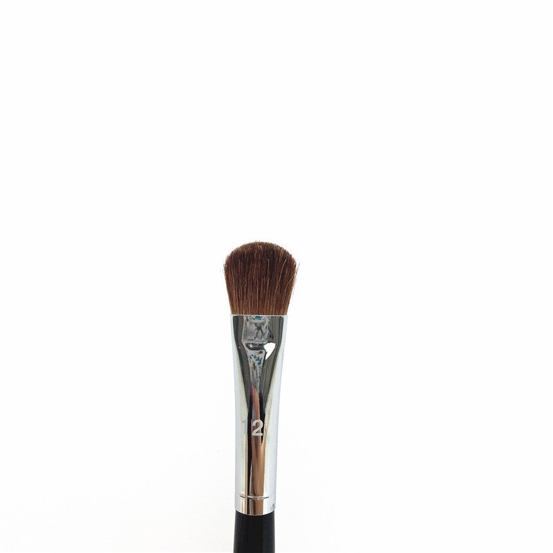 PRO Eye Shadow Makeup Brushes