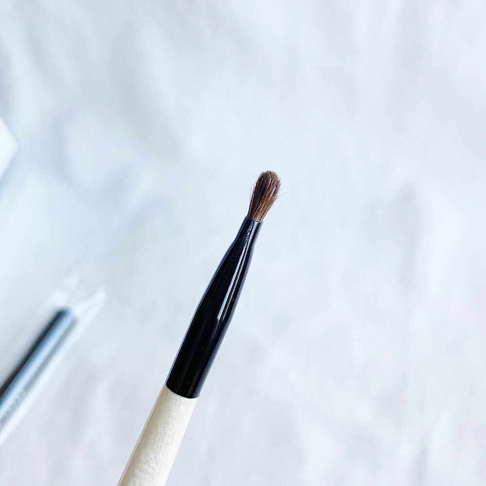 Retractable LIP BRUSH